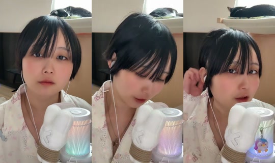 dodekai_onigiri TikTok Live — Oct 5, 2026, 2:30 AM