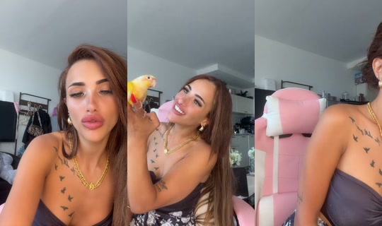 dodomafia.k TikTok Live — Oct 4, 2026, 1:08 PM