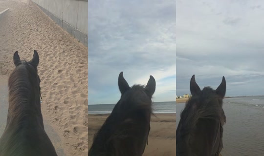 dodreambe TikTok Live — Oct 4, 2026, 7:51 AM