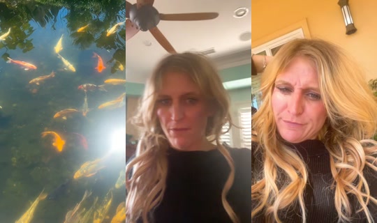 donovanheather007 TikTok Live — Sep 19, 2026, 7:09 PM