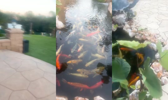 donovanheather007 TikTok Live — Sep 20, 2026, 1:42 AM