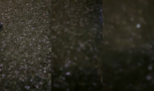 doradango TikTok Live — Aug 21, 2026, 8:36 PM