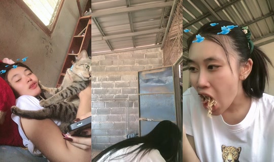 dream_2006_6 TikTok Live — Aug 27, 2026, 7:18 AM