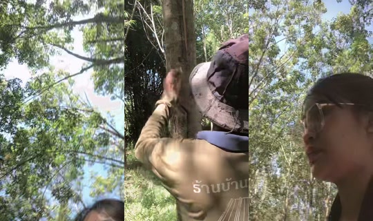 dream_2006_6 TikTok Live — Oct 8, 2026, 6:13 AM