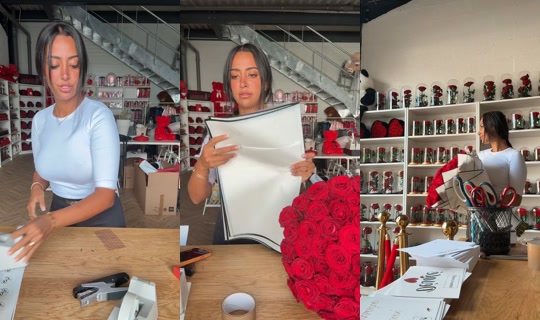 dreamflowers.fr TikTok Live — Aug 21, 2026, 11:38 AM
