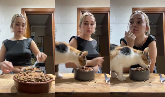 eelsaaporraas TikTok Live — Sep 28, 2026, 10:21 PM