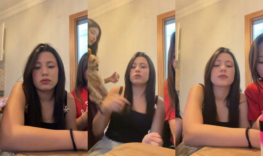elanis.ll TikTok Live — Oct 1, 2026, 3:23 PM