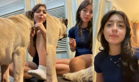 elav889 TikTok Live — Sep 29, 2026, 4:46 AM