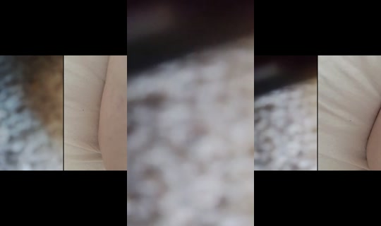 elenutza892 TikTok Live — Aug 29, 2026, 11:24 AM