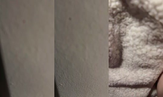 elenutza892 TikTok Live — Sep 1, 2026, 1:45 AM