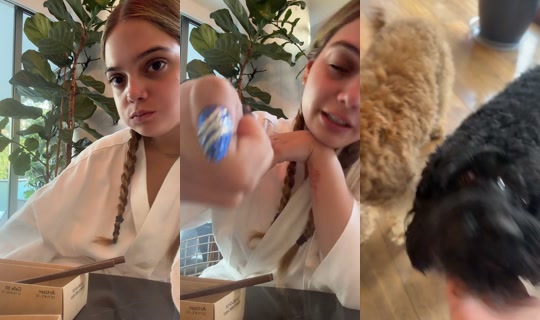 elianasiegmund TikTok Live — Aug 27, 2026, 10:26 PM