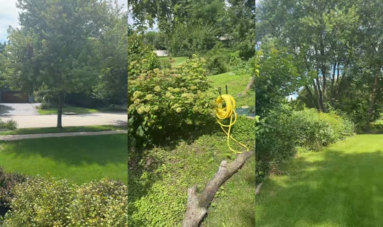 elizabethmarieabr TikTok Live — Aug 25, 2026, 6:26 PM