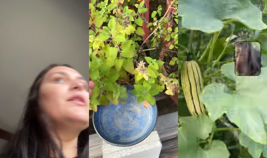 elizabethmarieabr TikTok Live — Aug 27, 2026, 11:44 PM