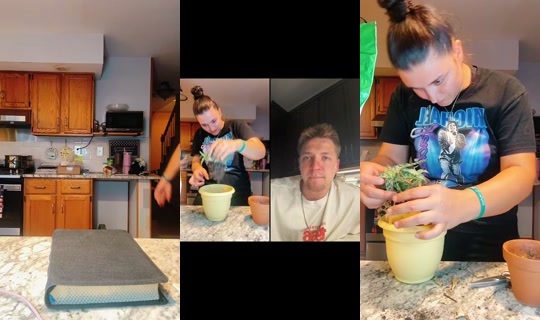 elizabethmarieabr TikTok Live — Sep 1, 2026, 12:17 AM