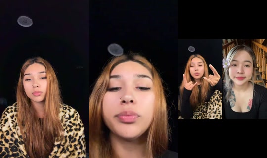 elliana.villarreal TikTok Live — Aug 25, 2026, 10:16 AM
