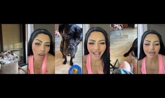 enas_zayed TikTok Live — Oct 6, 2026, 10:53 AM