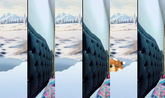 epic_700 TikTok Live — Sep 3, 2026, 3:46 PM