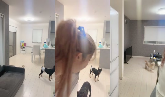 erimama_5 TikTok Live — Oct 5, 2026, 8:18 AM