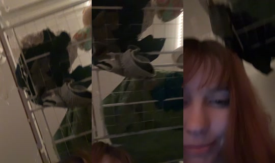 erpydirpy TikTok Live — Sep 25, 2026, 3:15 AM