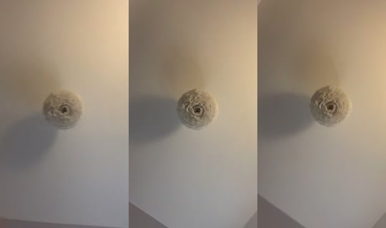 erstt03 TikTok Live — Sep 11, 2026, 8:15 PM