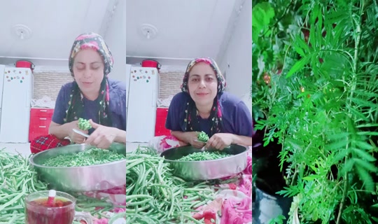 esilameryem3 TikTok Live — Sep 12, 2026, 7:17 PM