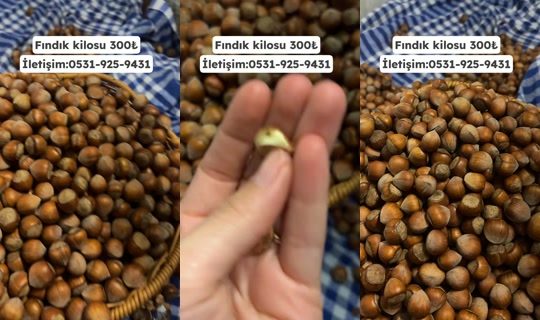 esraock5 TikTok Live — Sep 28, 2026, 7:55 PM