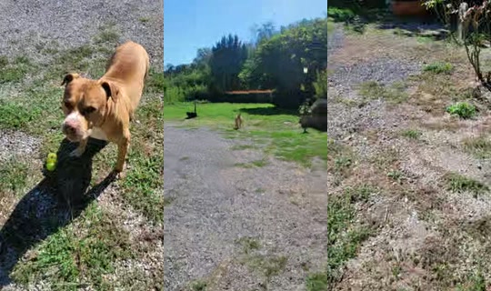 essenza.rara1 TikTok Live — Sep 23, 2026, 10:01 AM
