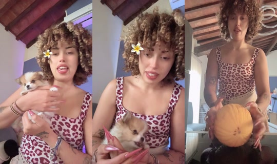 evanightstar TikTok Live — Aug 20, 2026, 3:15 PM