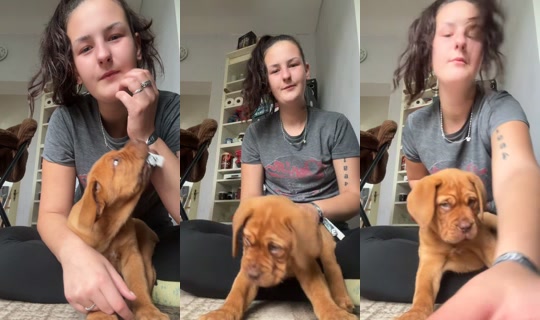 eveline.1312 TikTok Live — Sep 25, 2026, 7:37 AM