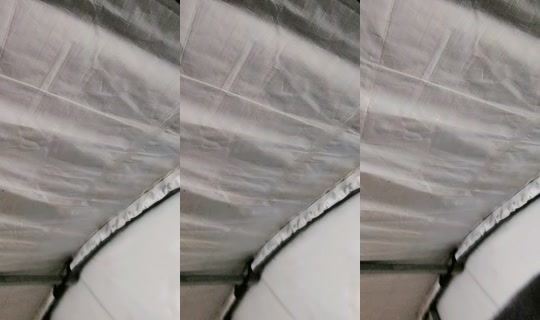 evelyn_yfl TikTok Live — Oct 1, 2026, 9:08 PM