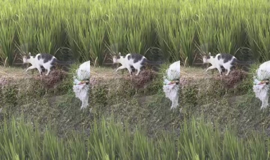 evinkaplankiran TikTok Live — Sep 24, 2026, 10:02 AM