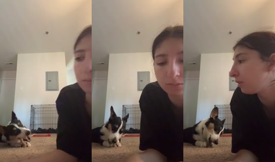 fangirljess TikTok Live — Sep 16, 2026, 3:16 PM