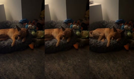 fantasticmrforest TikTok Live — Oct 6, 2026, 12:20 AM