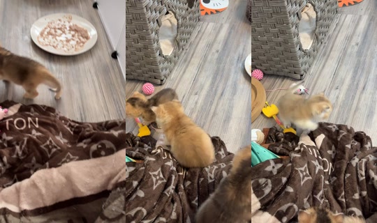fashion.over2 TikTok Live — Aug 31, 2026, 4:48 PM