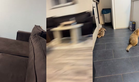 fashion.over2 TikTok Live — Sep 16, 2026, 7:31 PM