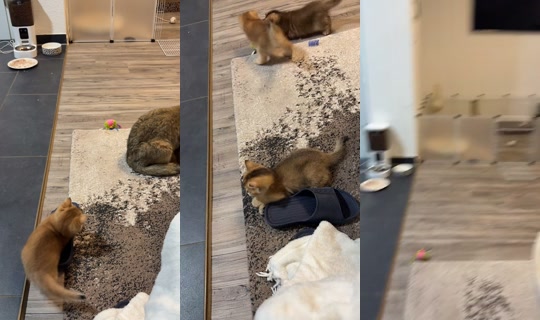 fashion.over2 TikTok Live — Sep 18, 2026, 8:09 PM