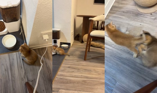 fashion.over2 TikTok Live — Sep 20, 2026, 8:02 PM