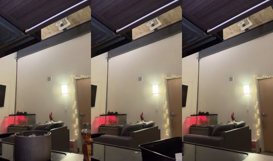 feenfa_lique TikTok Live — Oct 3, 2026, 11:19 PM