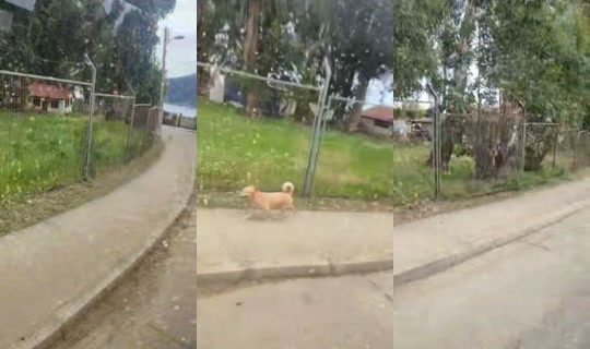 felipeandresbello TikTok Live — Sep 30, 2026, 2:56 PM