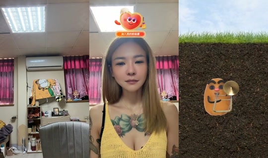 fengcaiyuan TikTok Live — Oct 4, 2026, 12:40 AM