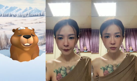 fengcaiyuan TikTok Live — Oct 5, 2026, 5:29 PM