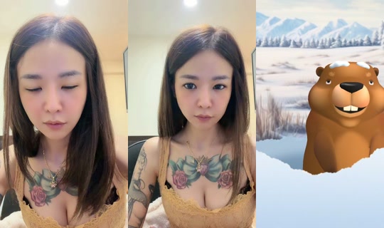 fengcaiyuan TikTok Live — Oct 8, 2026, 11:44 AM