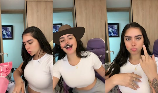 fernandaruizg TikTok Live — Aug 25, 2026, 12:59 AM