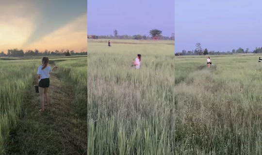 feyiop TikTok Live — Sep 30, 2026, 11:06 AM