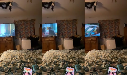 fien4livi222 TikTok Live — Sep 26, 2026, 12:14 AM