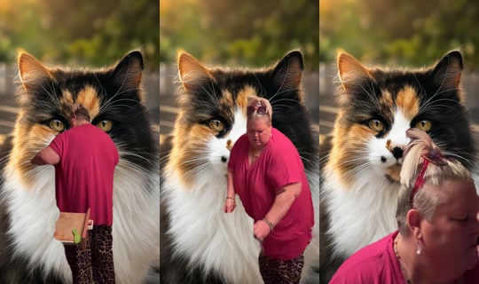fireworxrainbow TikTok Live — Oct 5, 2026, 4:53 PM