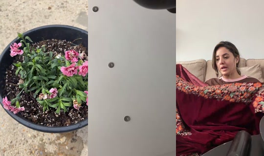 fizabash_official TikTok Live — Sep 3, 2026, 3:01 PM