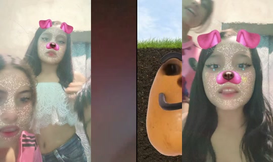 flakitaaa257 TikTok Live — Sep 3, 2026, 4:24 AM
