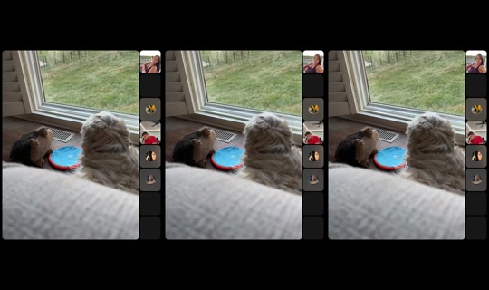 floofdakota TikTok Live — Aug 28, 2026, 11:22 PM