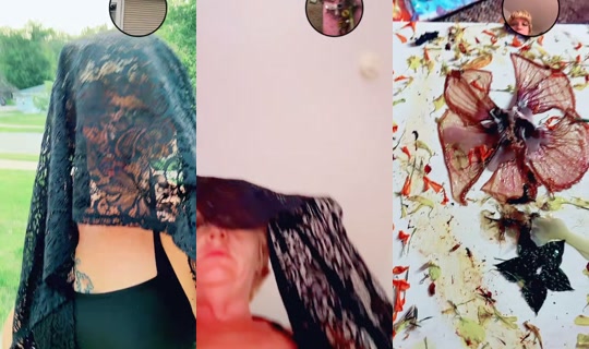 foxxxypetals16 TikTok Live — Aug 28, 2026, 12:10 AM